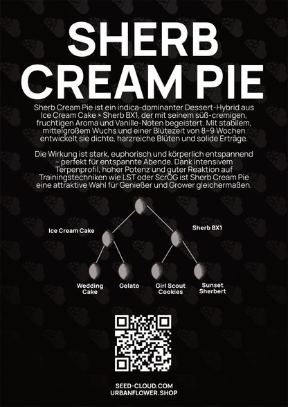 Sherb Cream Pie - Tier 1