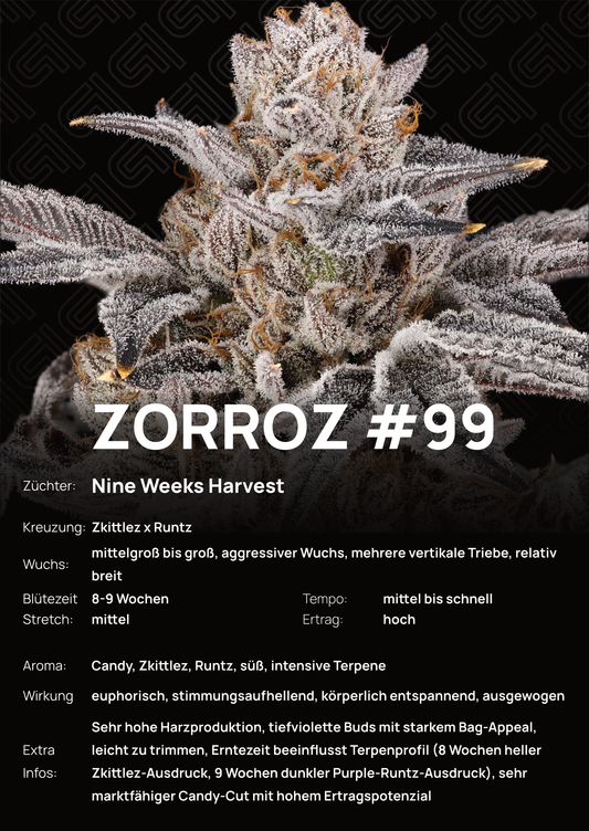 Zorroz #99 - Tier 5
