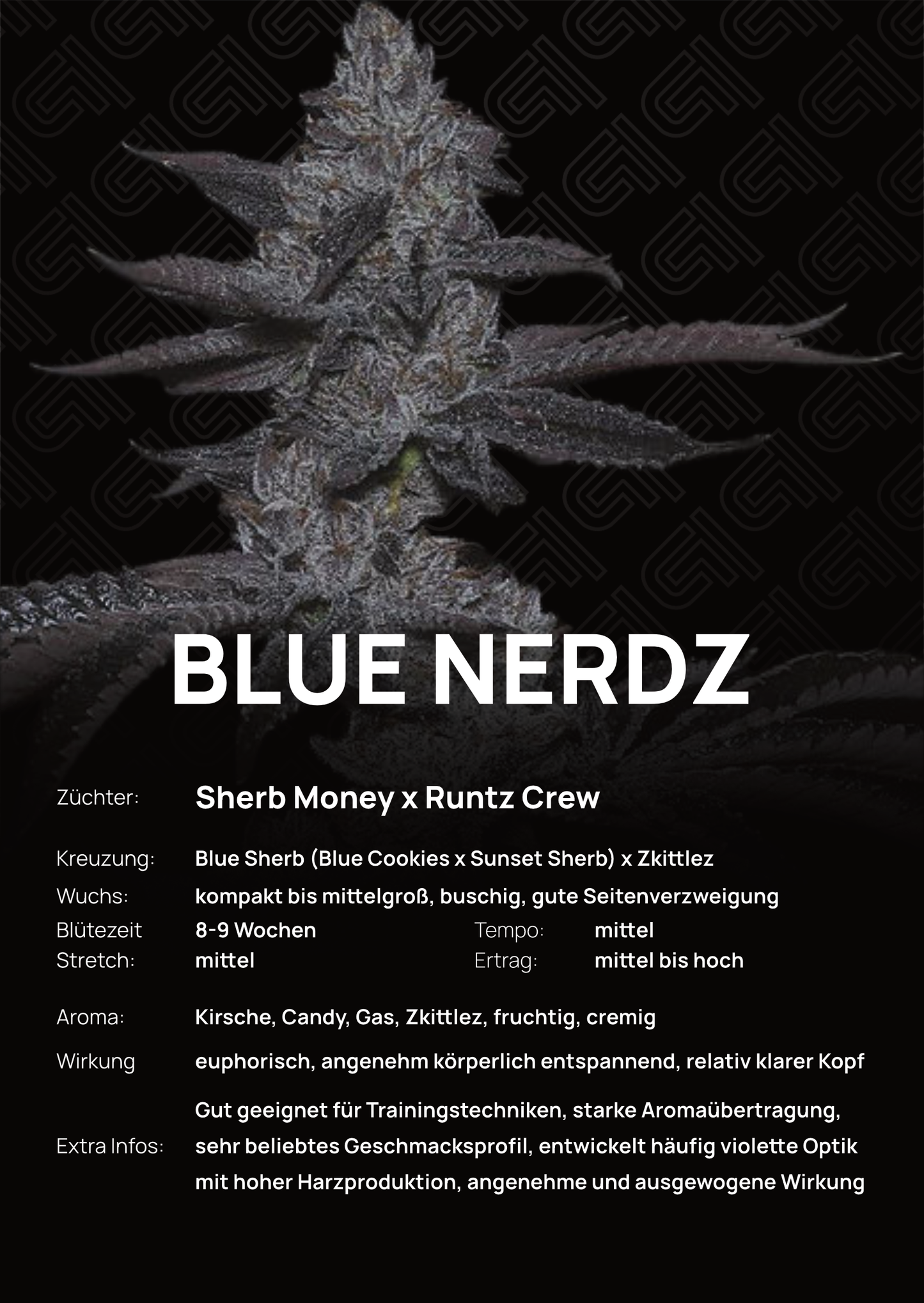Blue Nerdz  - Tier 4