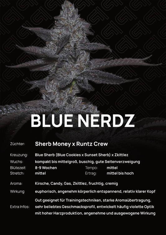 Blue Nerdz  - Tier 4