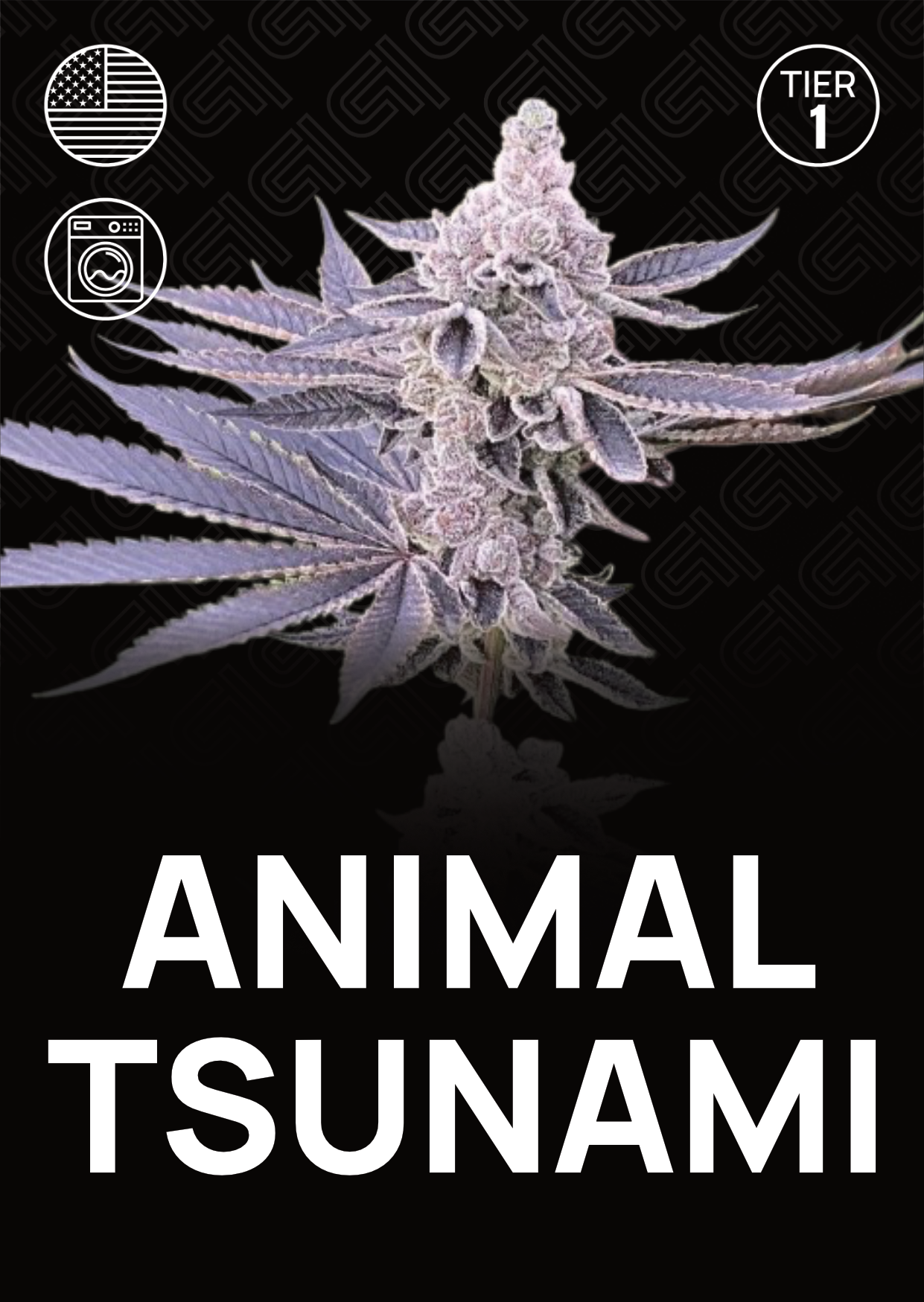 Animal Tsunami - Tier 1