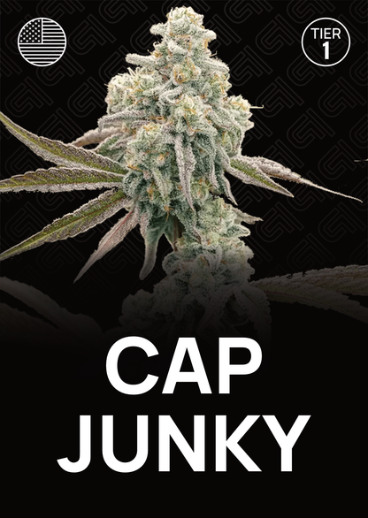 Cap Junky - Tier 1