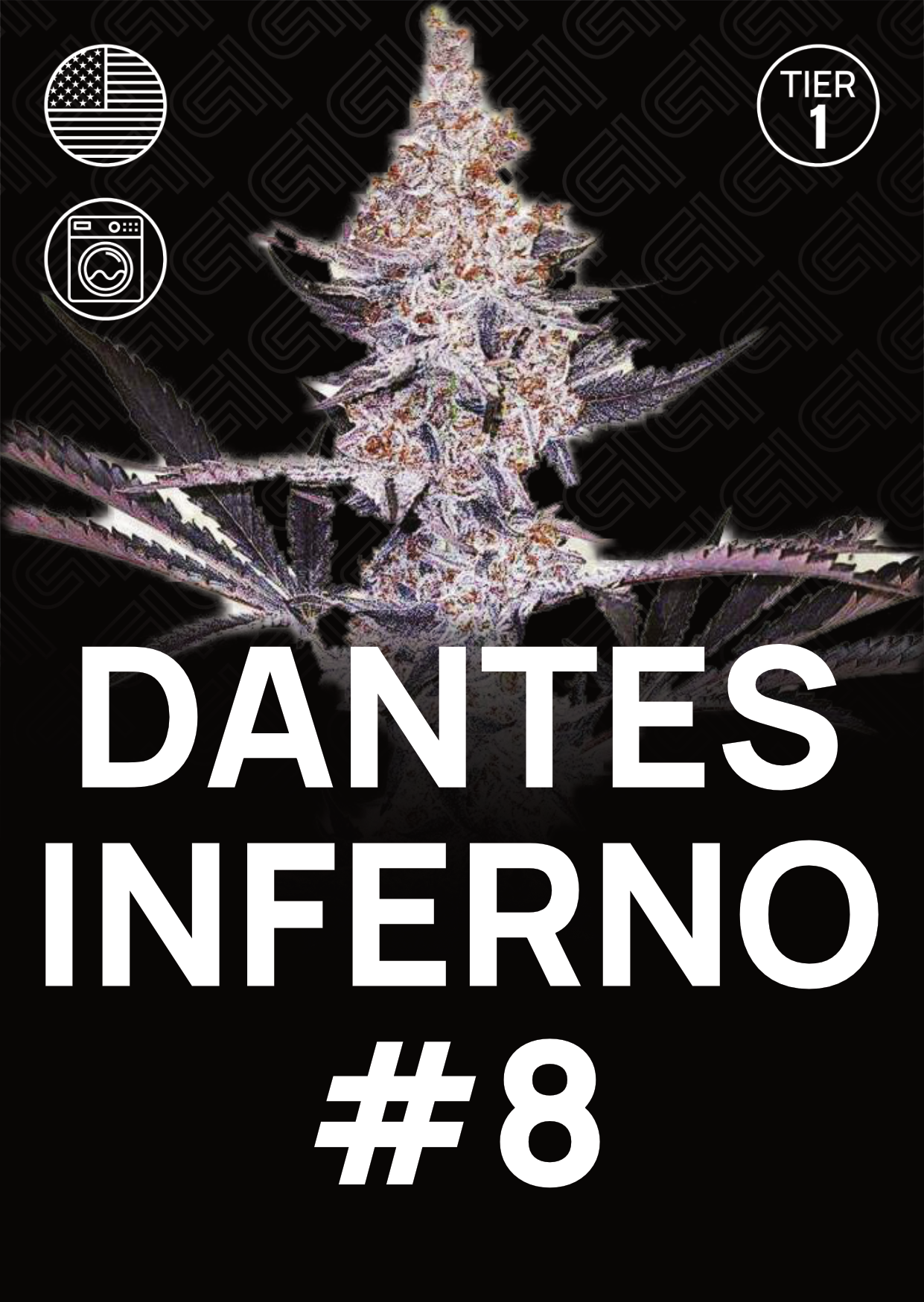 Dantes Inferno #8 - Tier 1