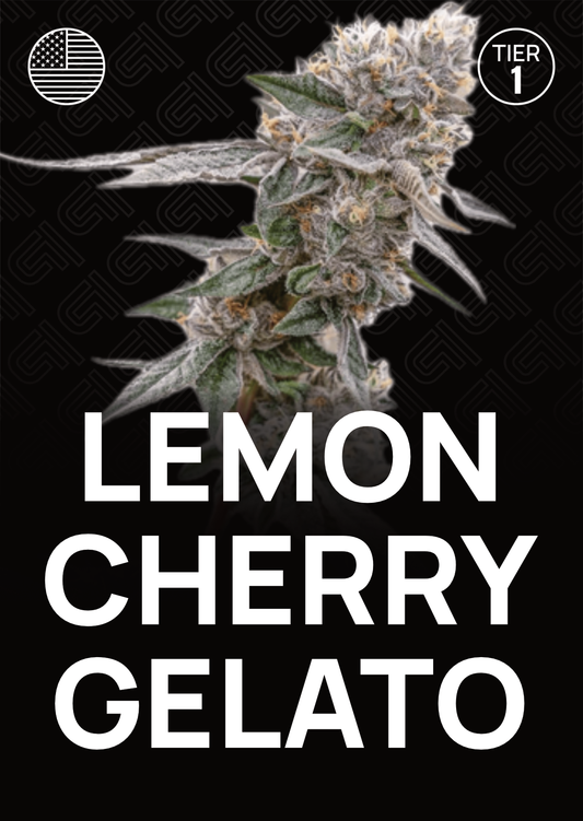 Lemon Cherry Gelato - Tier 1
