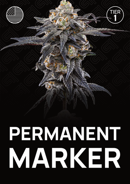 Permanent Marker - Tier 1