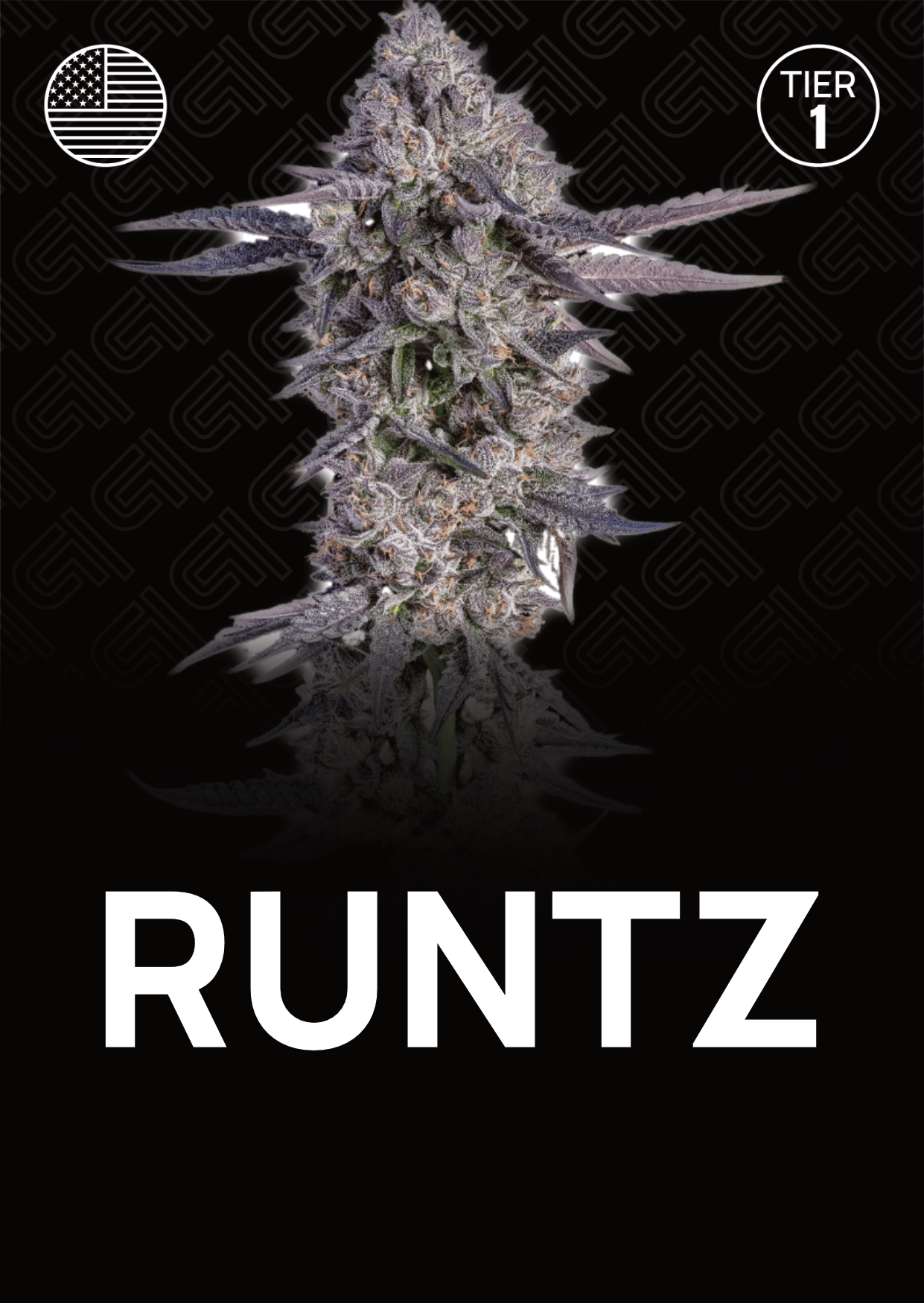 Runtz - Tier 1