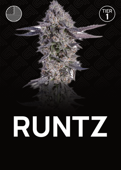 Runtz - Tier 1