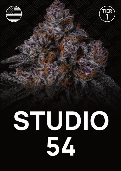 Studio 54 - Tier 1