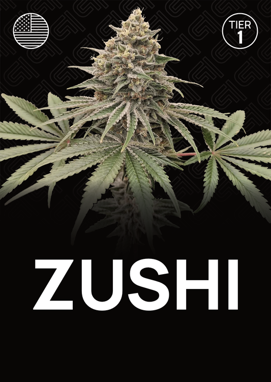Zushi - Tier 1
