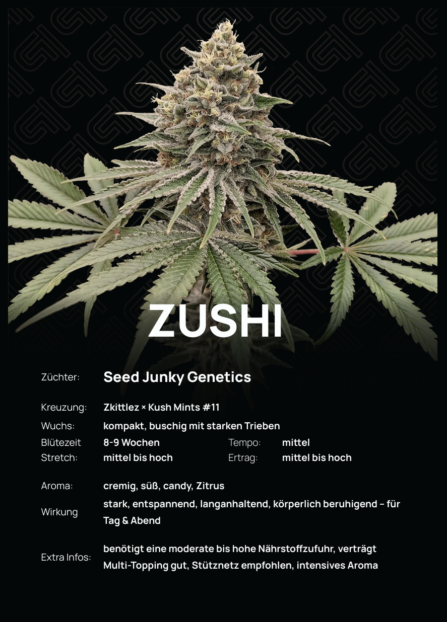 Zushi Steckling – intensives Aroma aus cremigen Zitrusnoten und süßem Candy-Flavour