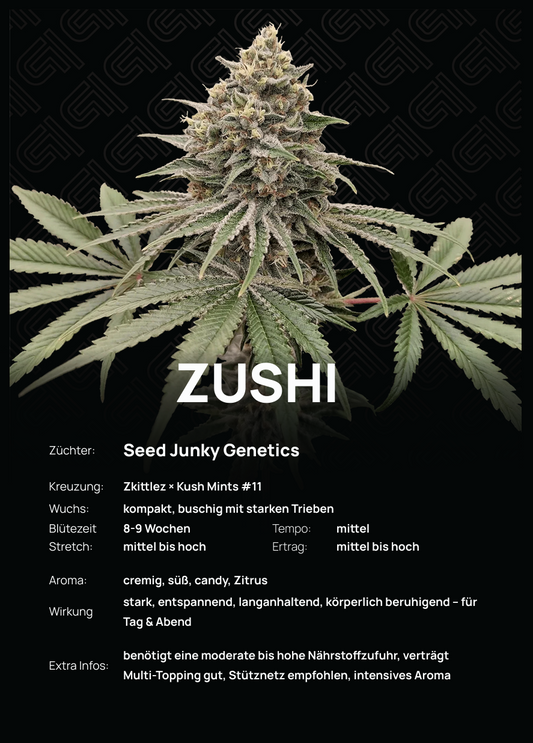 Zushi Steckling – intensives Aroma aus cremigen Zitrusnoten und süßem Candy-Flavour