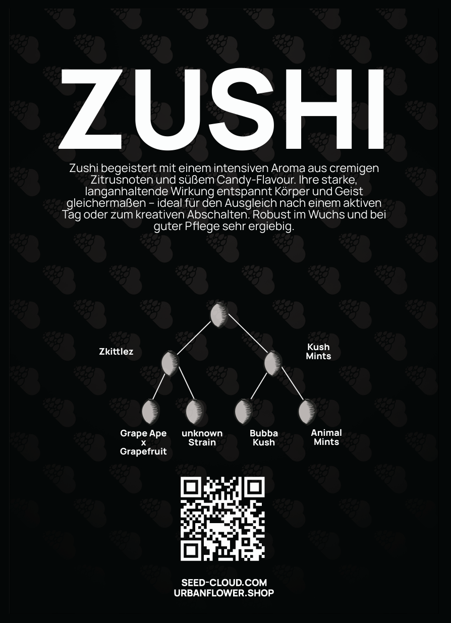 Zushi Steckling – starke, langanhaltende Wirkung, ideal für Ausgleich und kreatives Abschalten